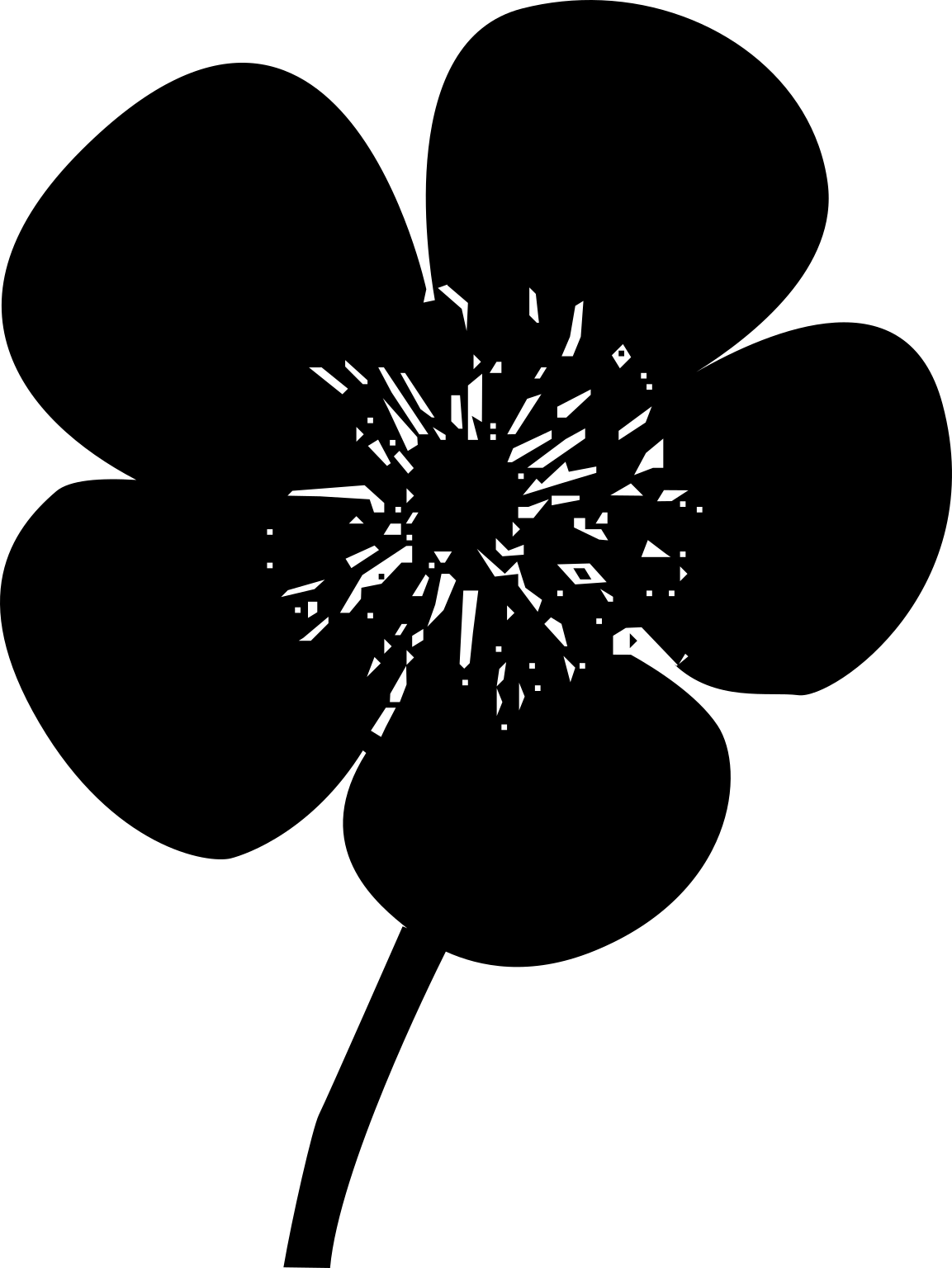 Ranunculaceae
