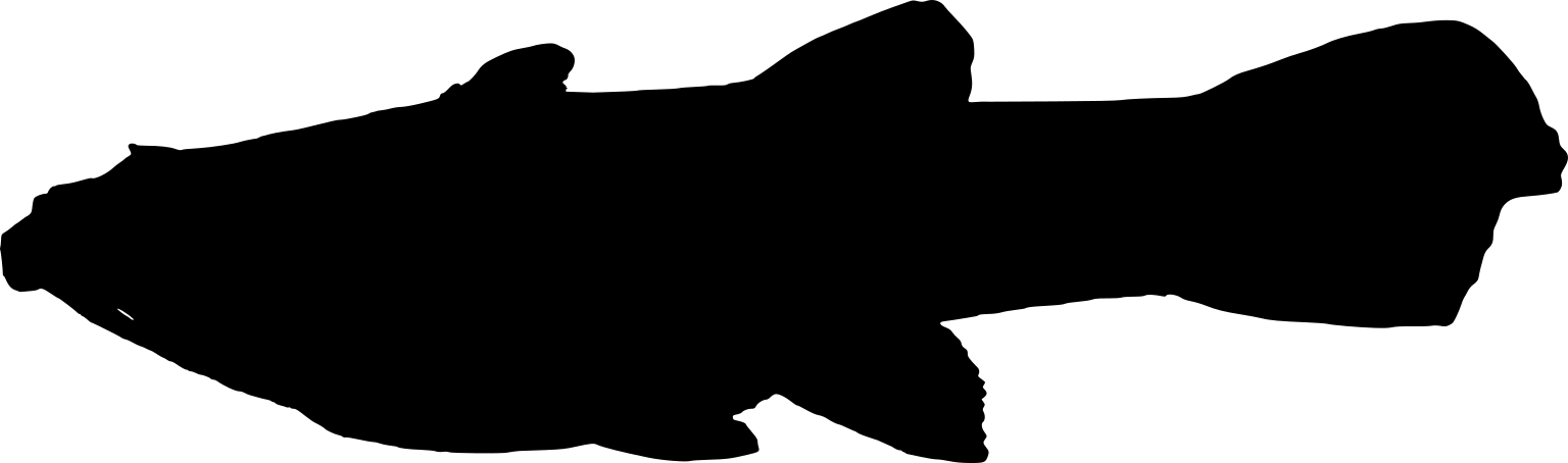 Poecilia caucana