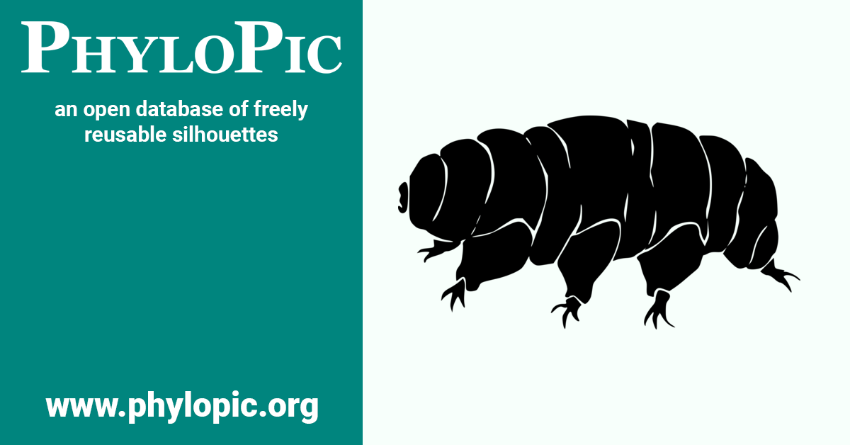 Parchula Insect Parachela (CC0 1.0) - PhyloPic