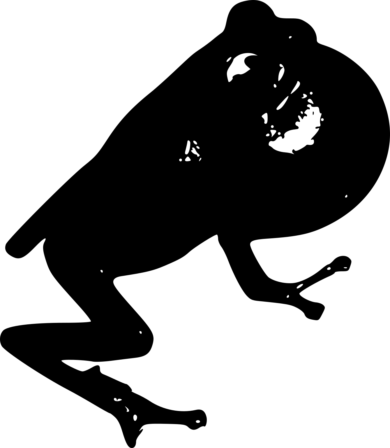 Raorchestes