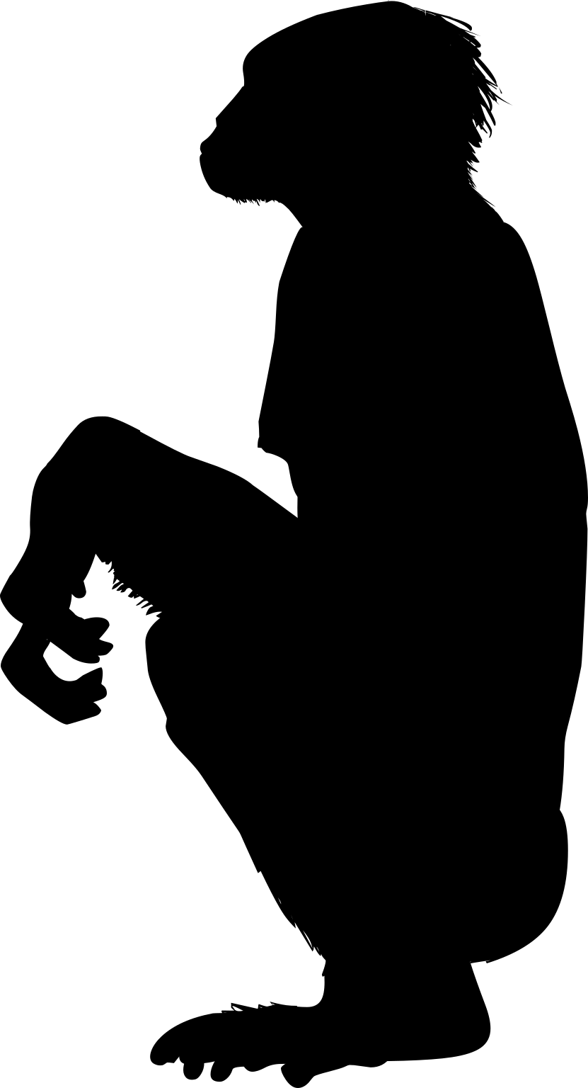 Orrorin tugenensis