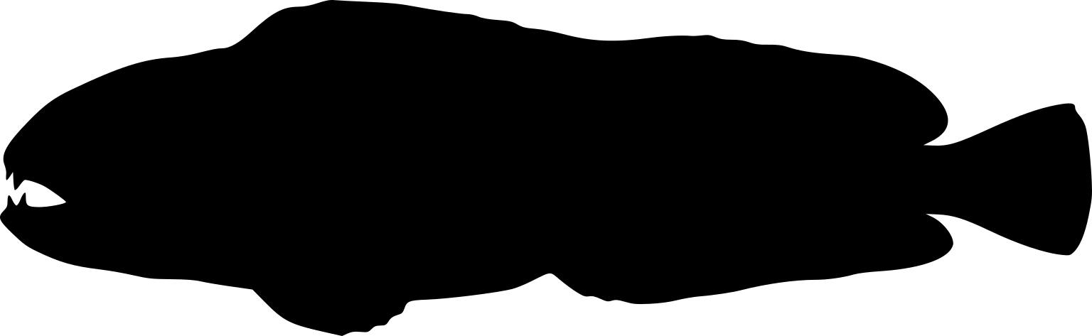 Anarhichas denticulatus