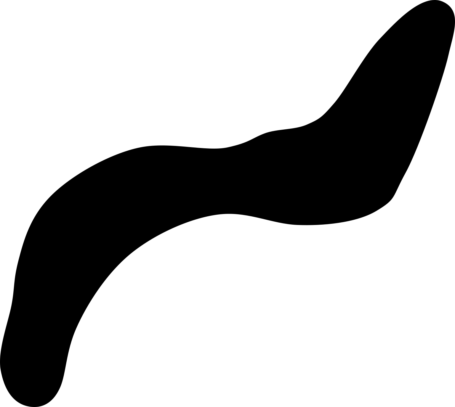 Desulfarculus baarsii