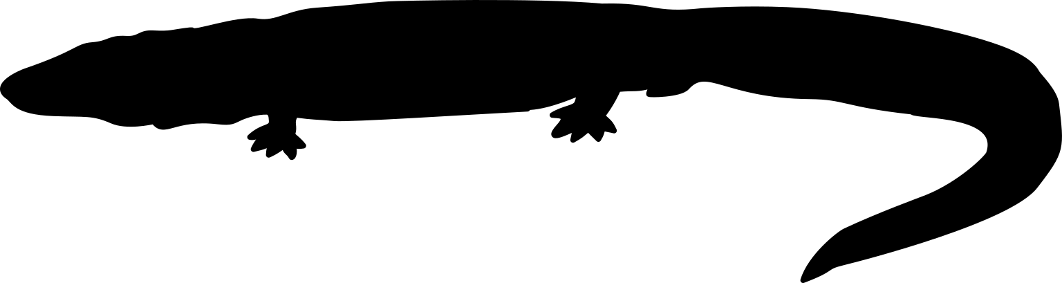 Neopteroplax conemaughensis