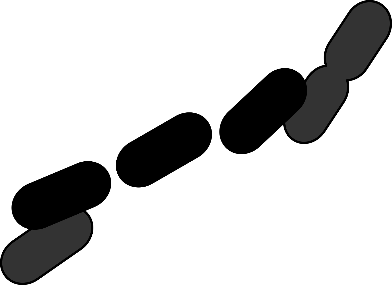 Burkholderia cepacia