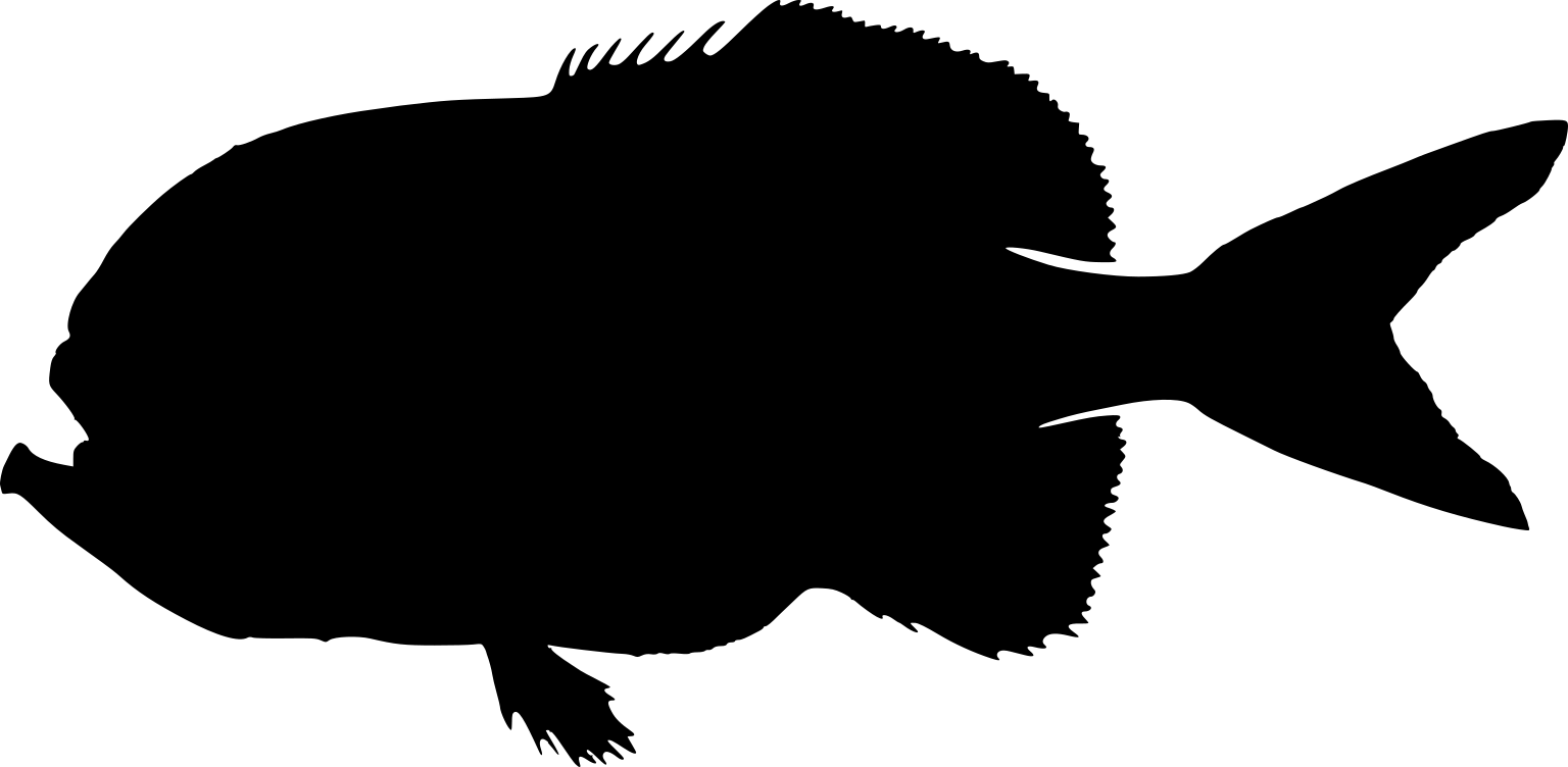Hoplostethus atlanticus