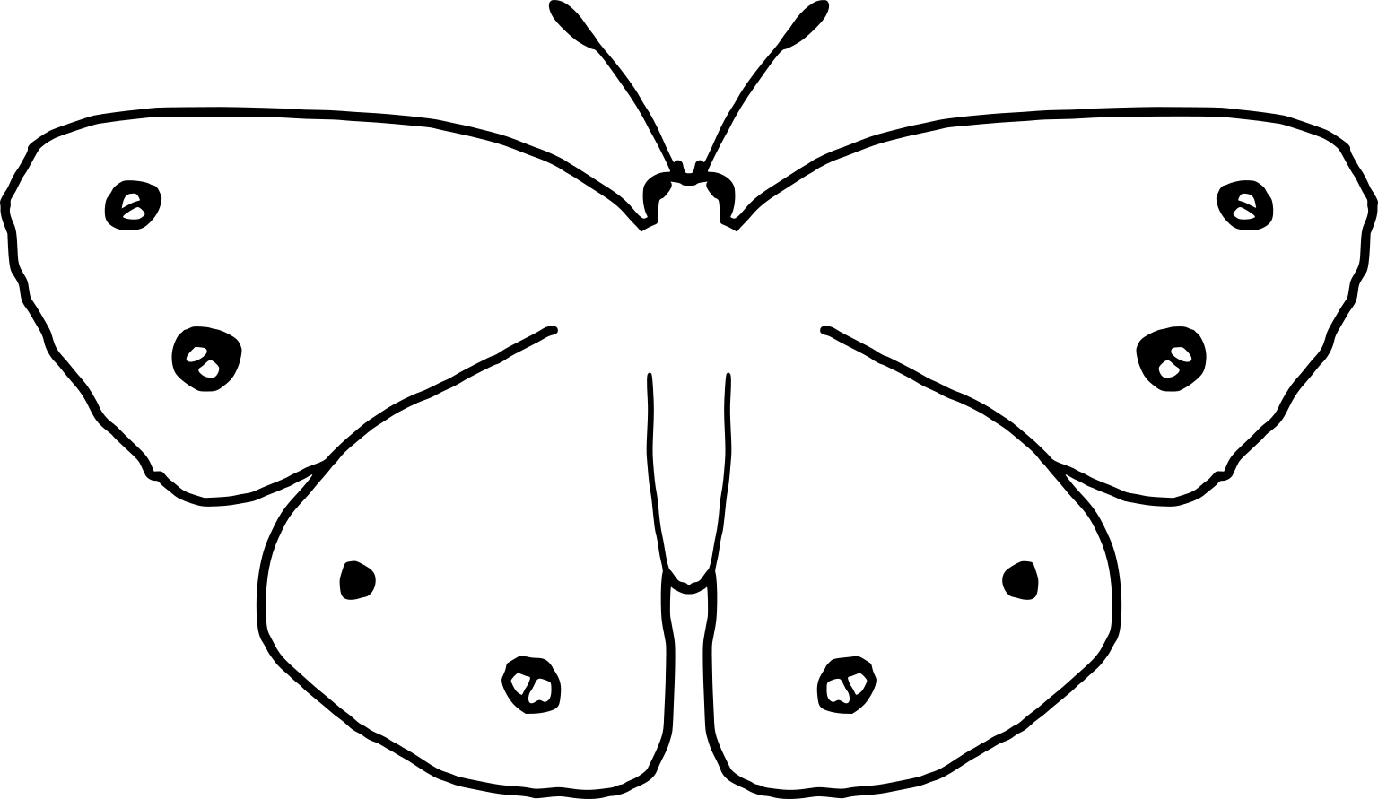 Megisto cymela