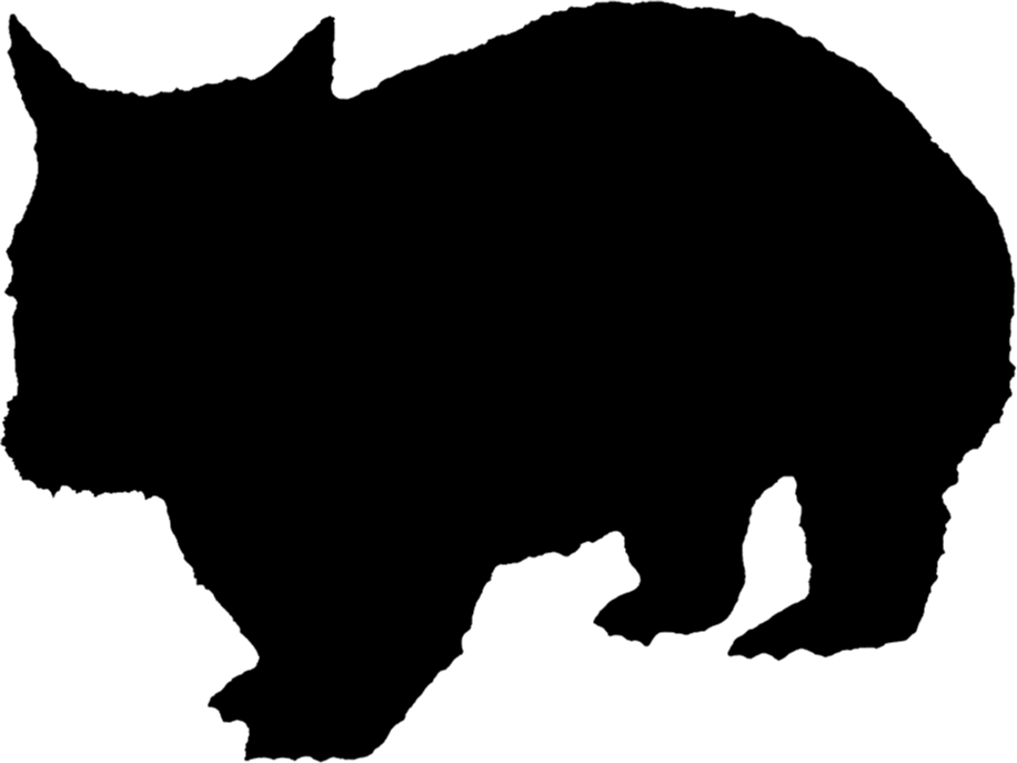 Lasiorhinus