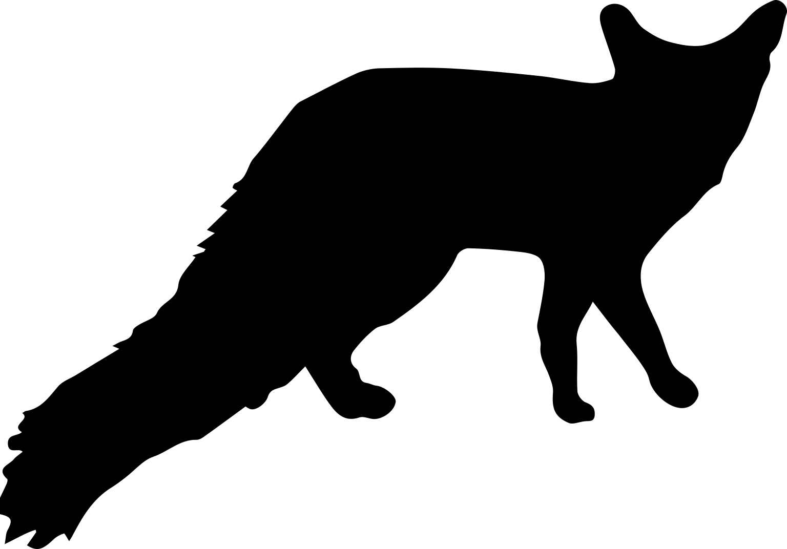 Vulpes cana