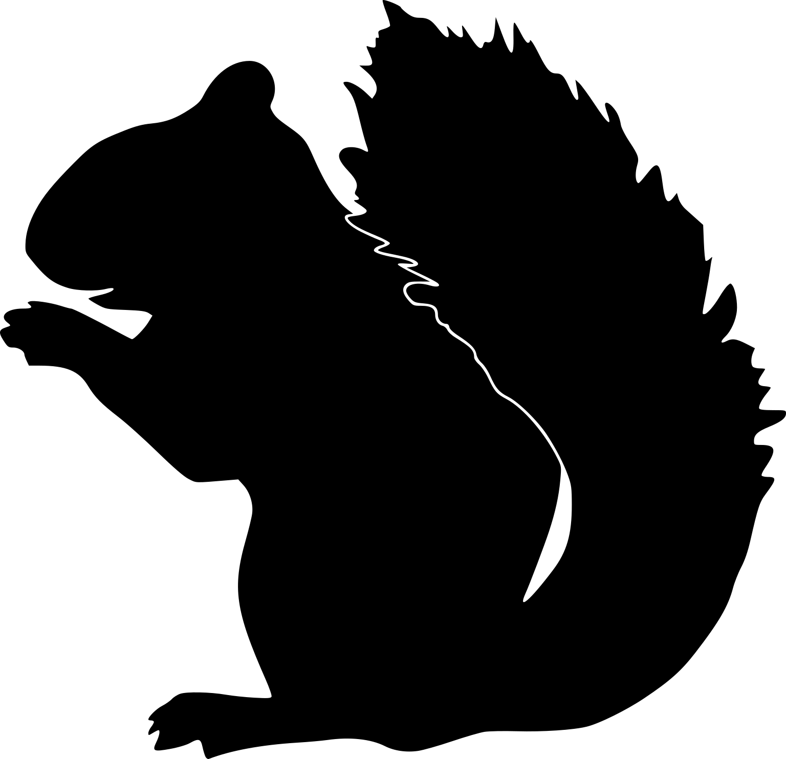 Tamiasciurus hudsonicus