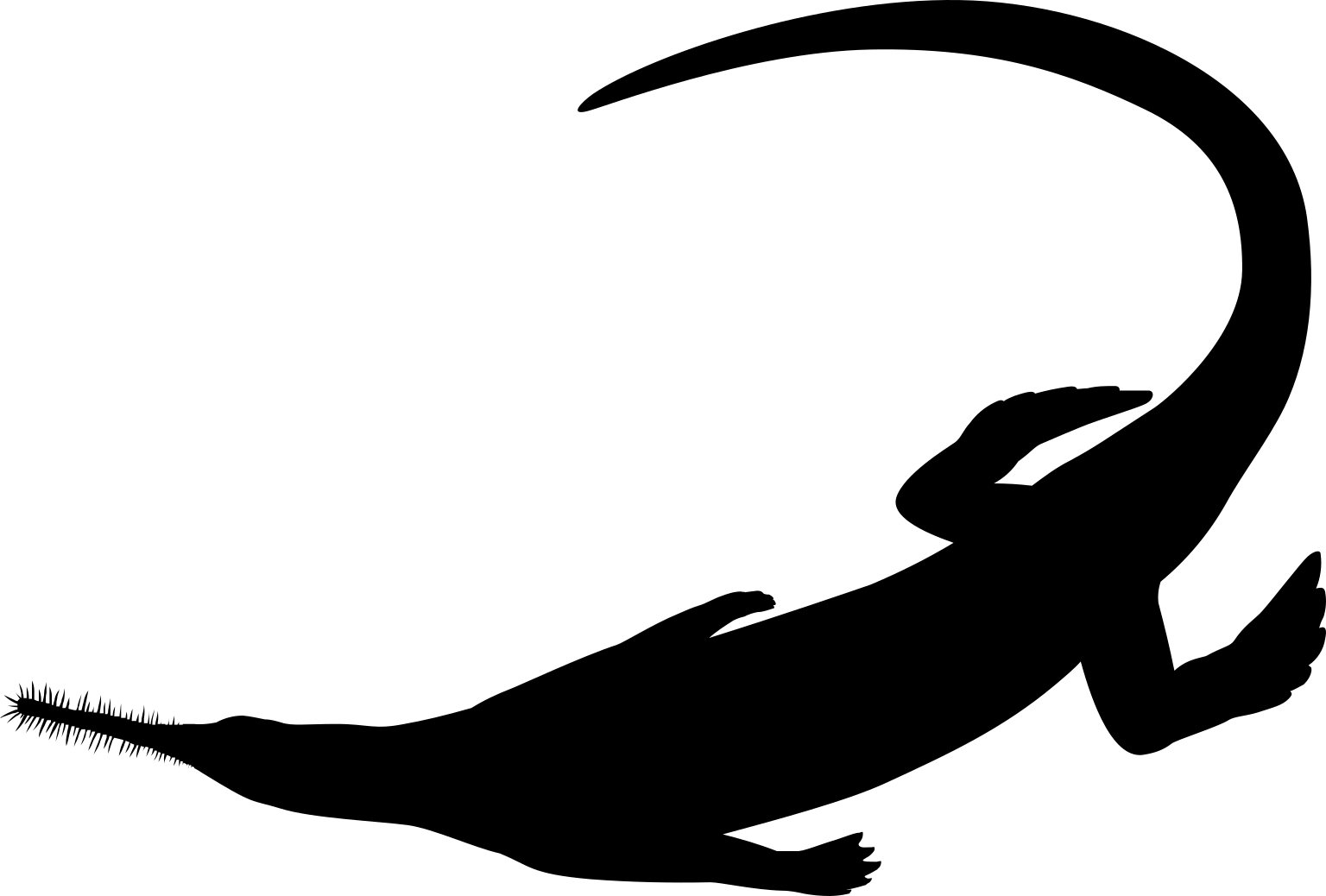 Mesosaurus tenuidens