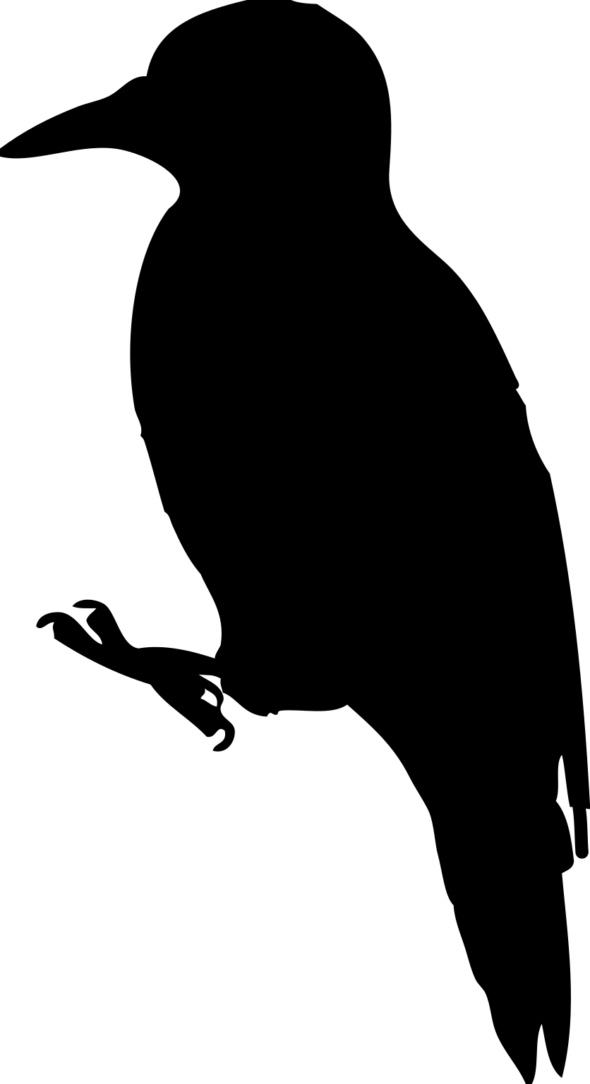 Dendrocopos major