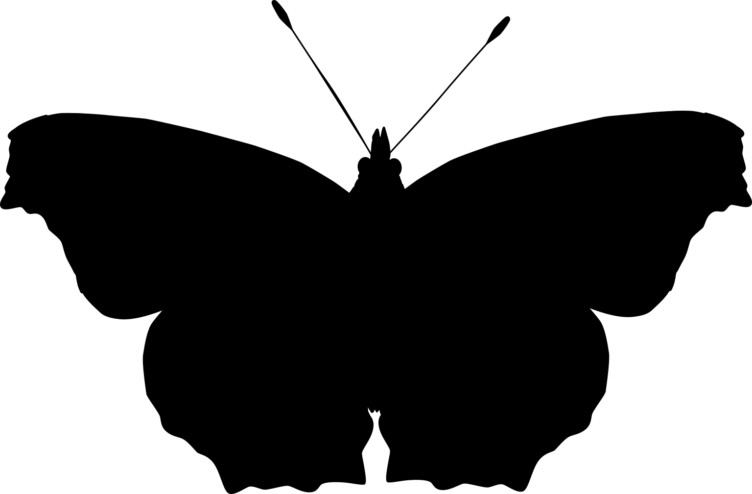 Aglais io