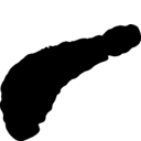 Branchiobdella hexadonta