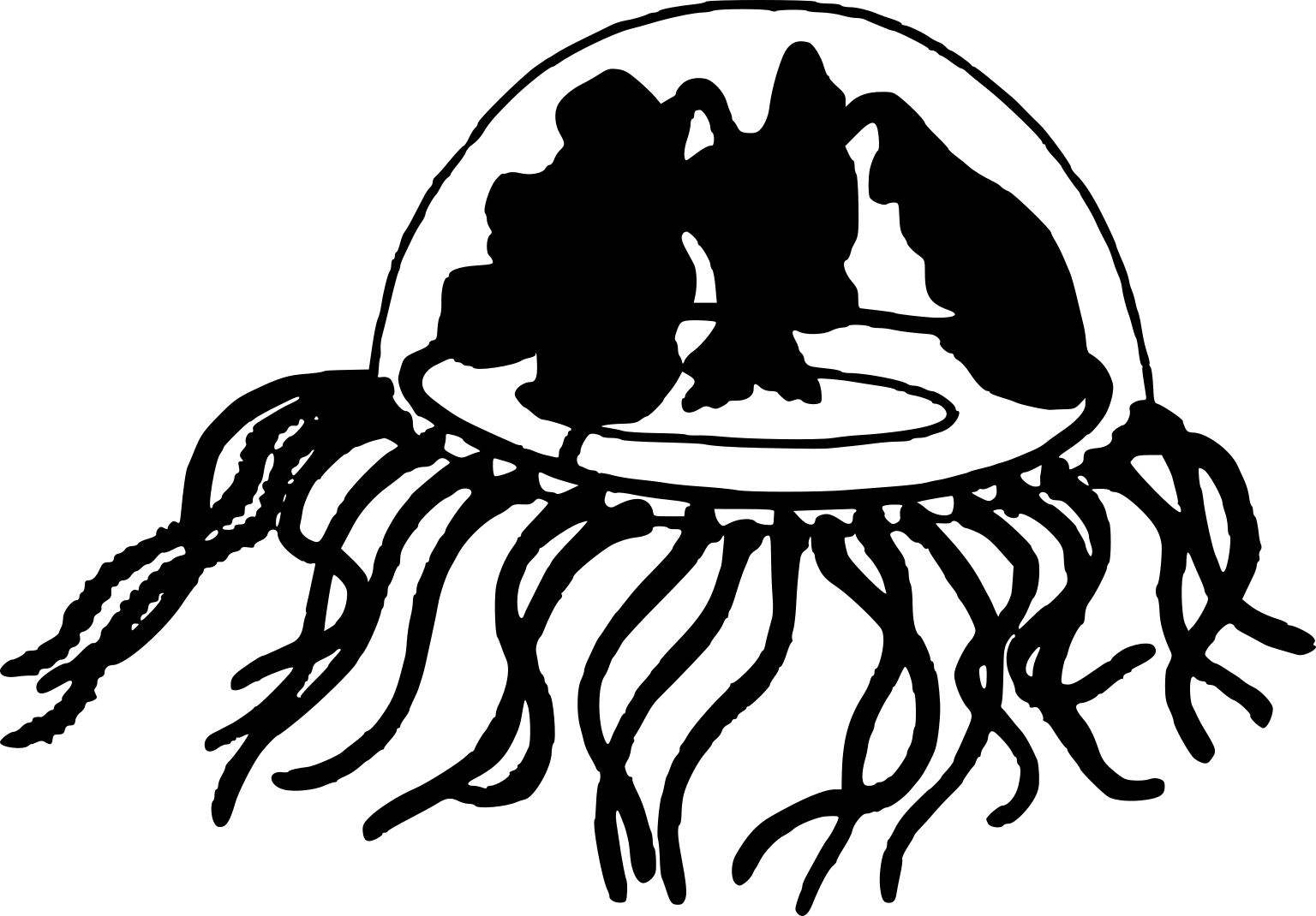 Craspedacusta sowerbii