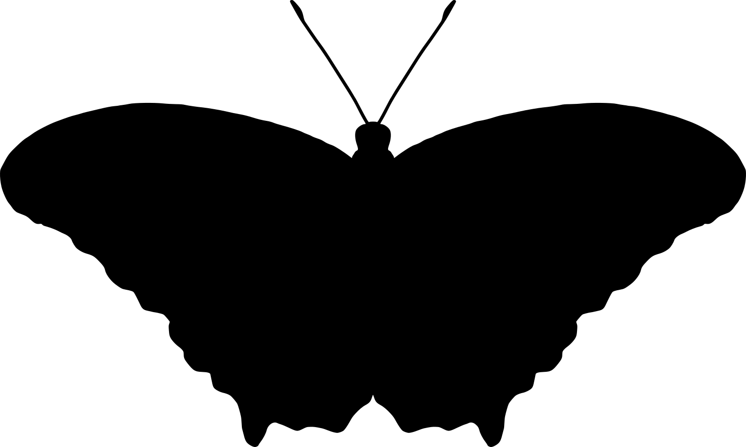 Siproeta stelenes
