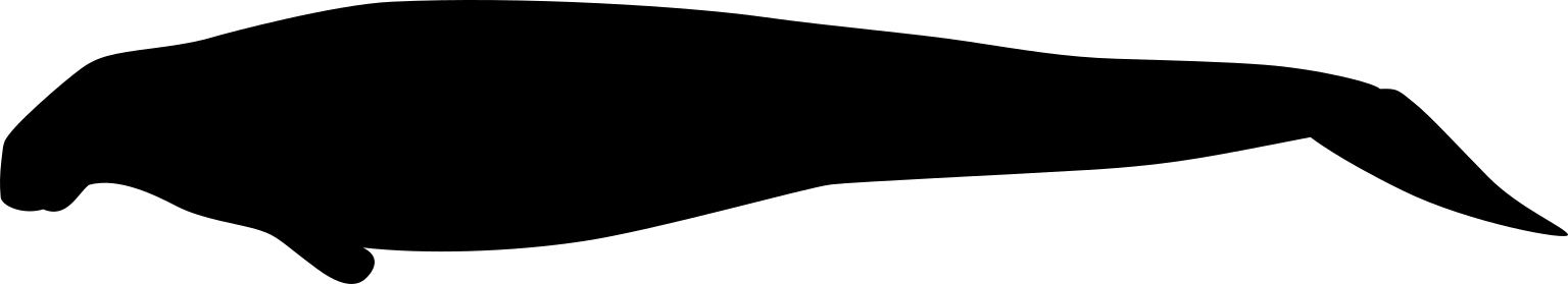 Hydrodamalis gigas