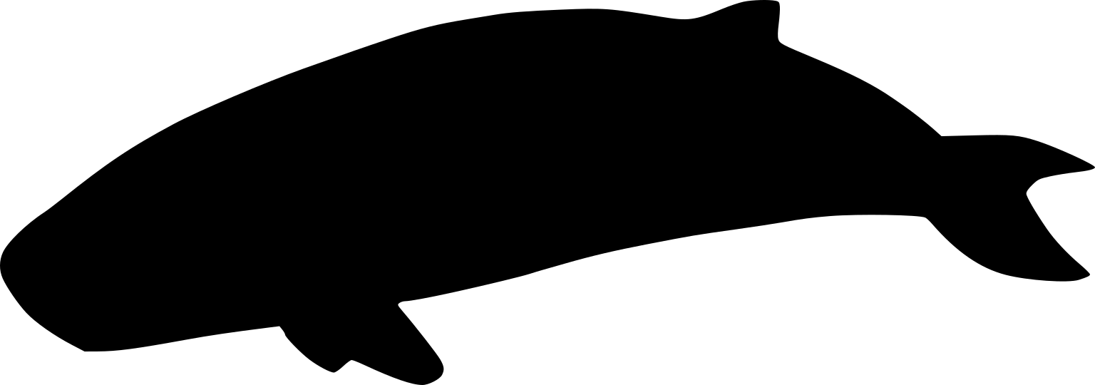 Praekogia cedrosensis