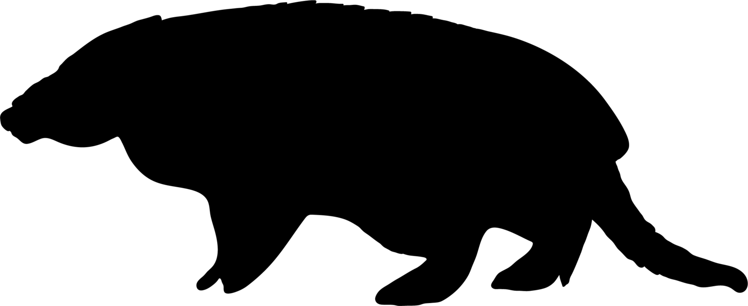 Chaetophractus