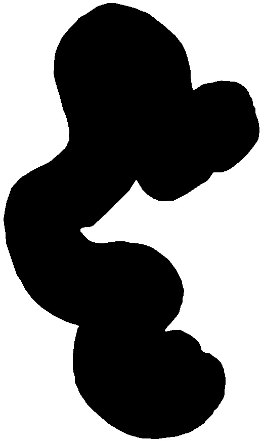 Nitrospira marina