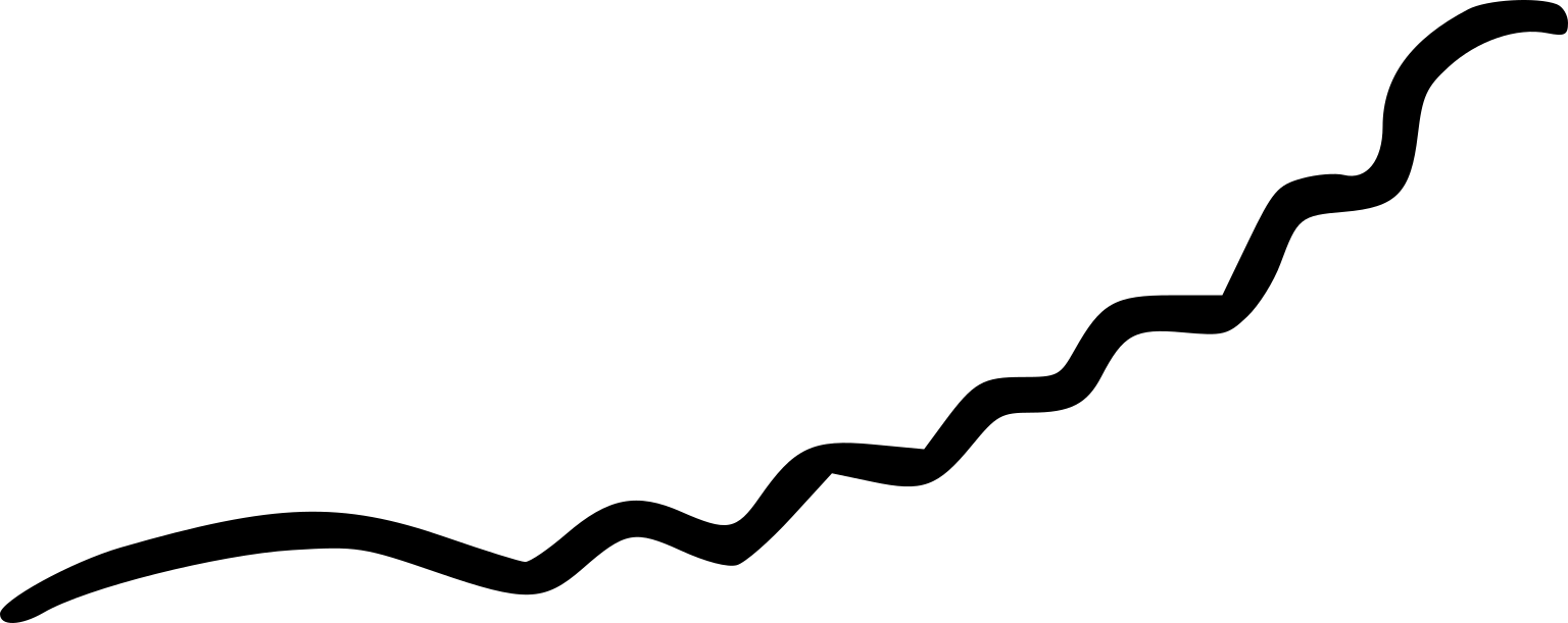 Breznakiella homolactica