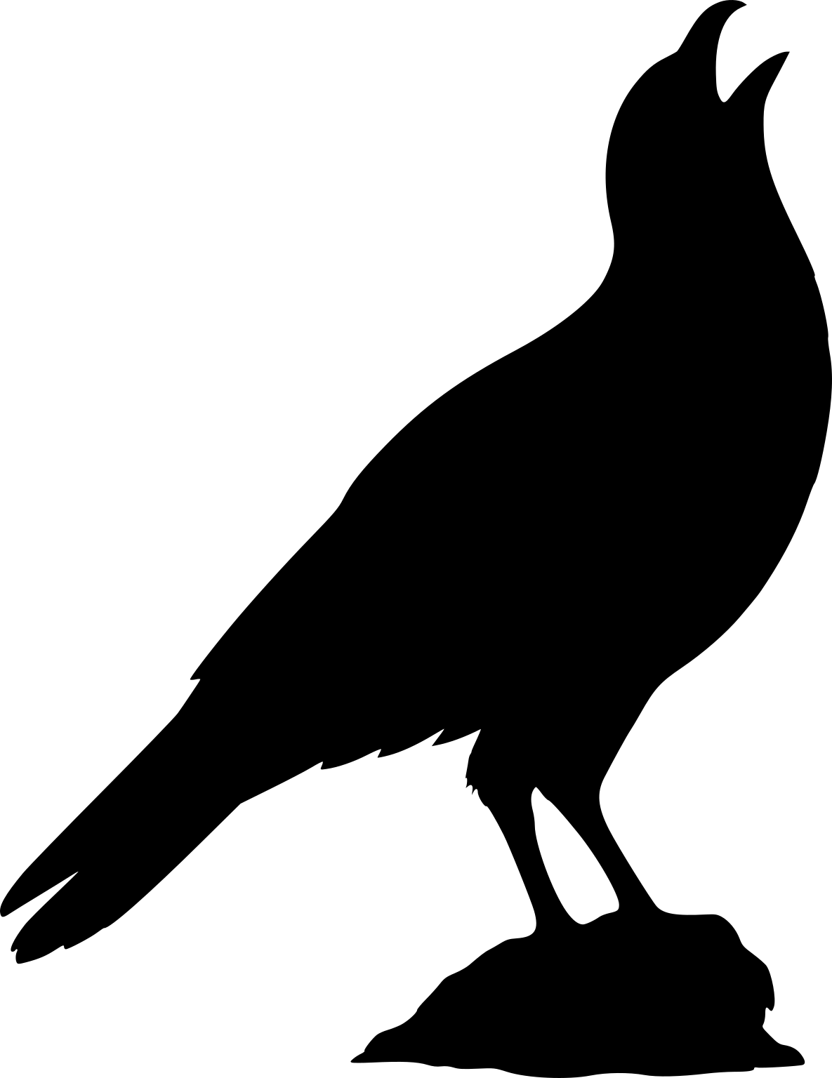 Daptrius chimango