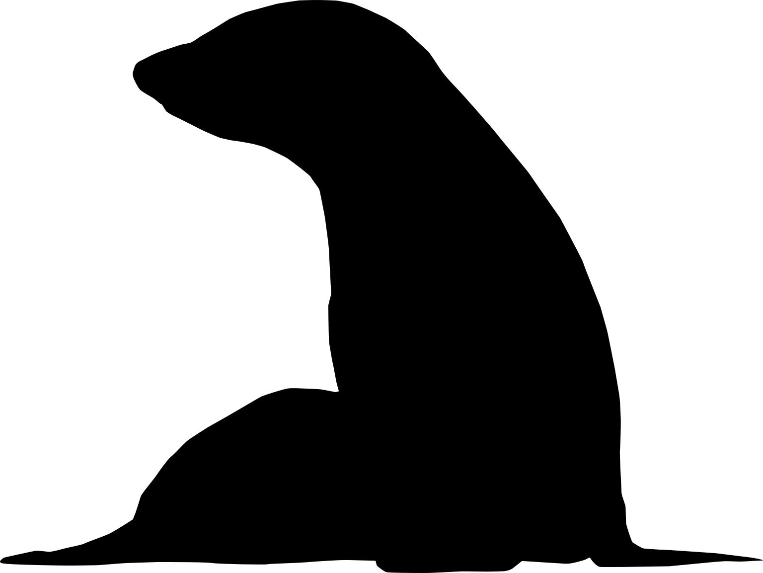 Arctocephalus philippii