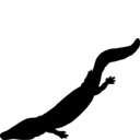 Neldasaurus wrightae