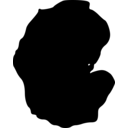 Asteromyzostomum grygieri