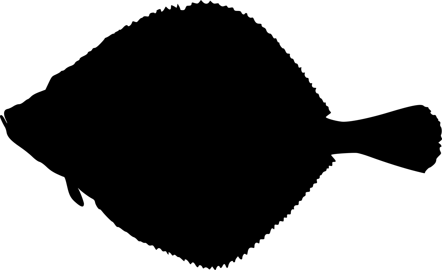 Pleuronectes platessa