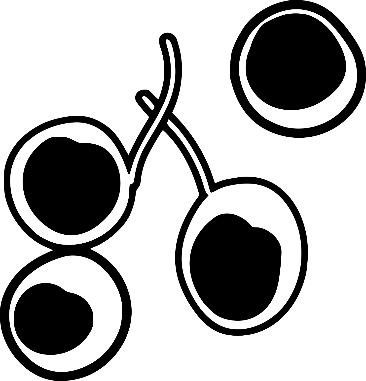 Palmophyllophyceae