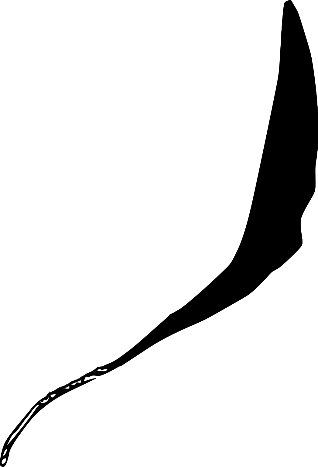 Trypanosoma