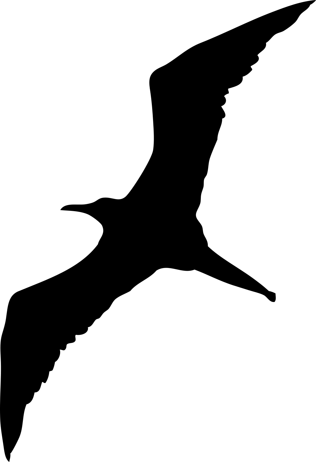 Limnofregata