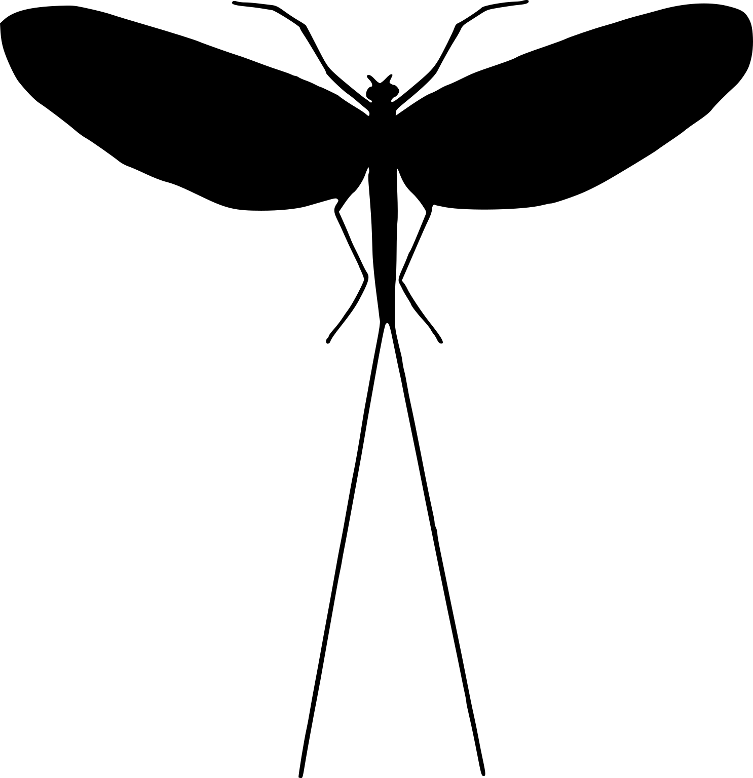 Cloeon dipterum