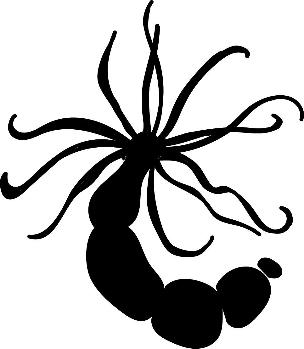 Nematostella