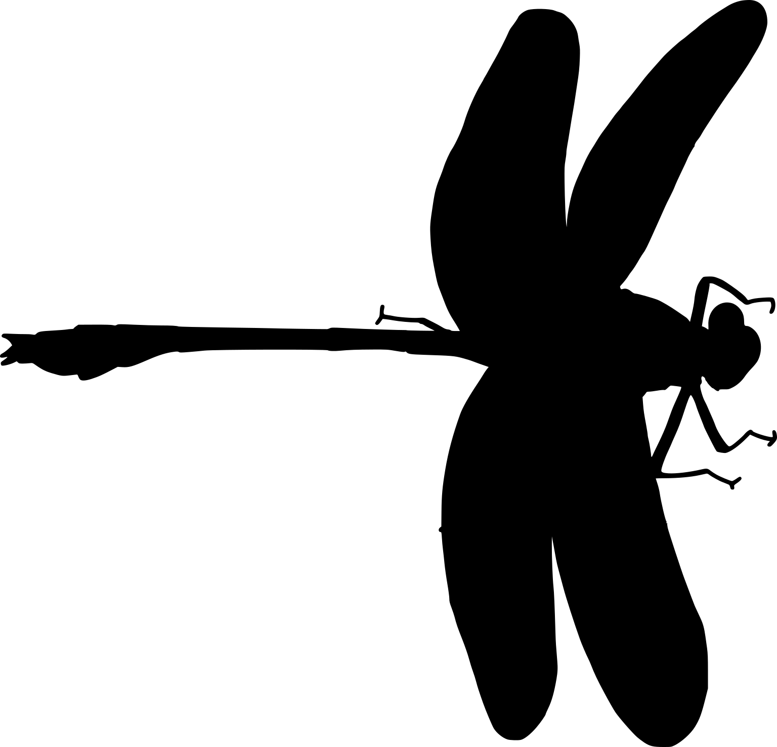 Dromogomphus spinosus