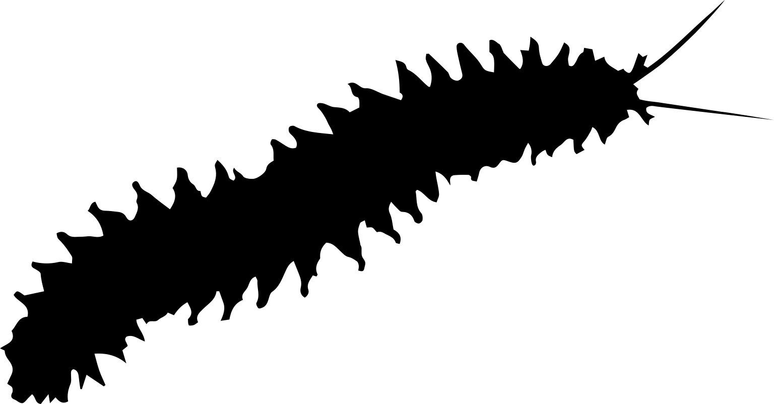 Errantia