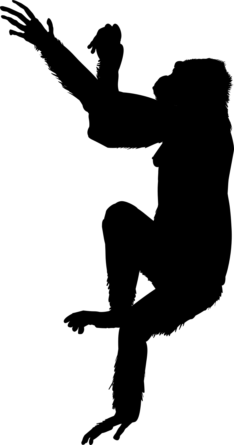 Ouranopithecus macedoniensis