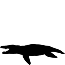 Liopleurodon ferox