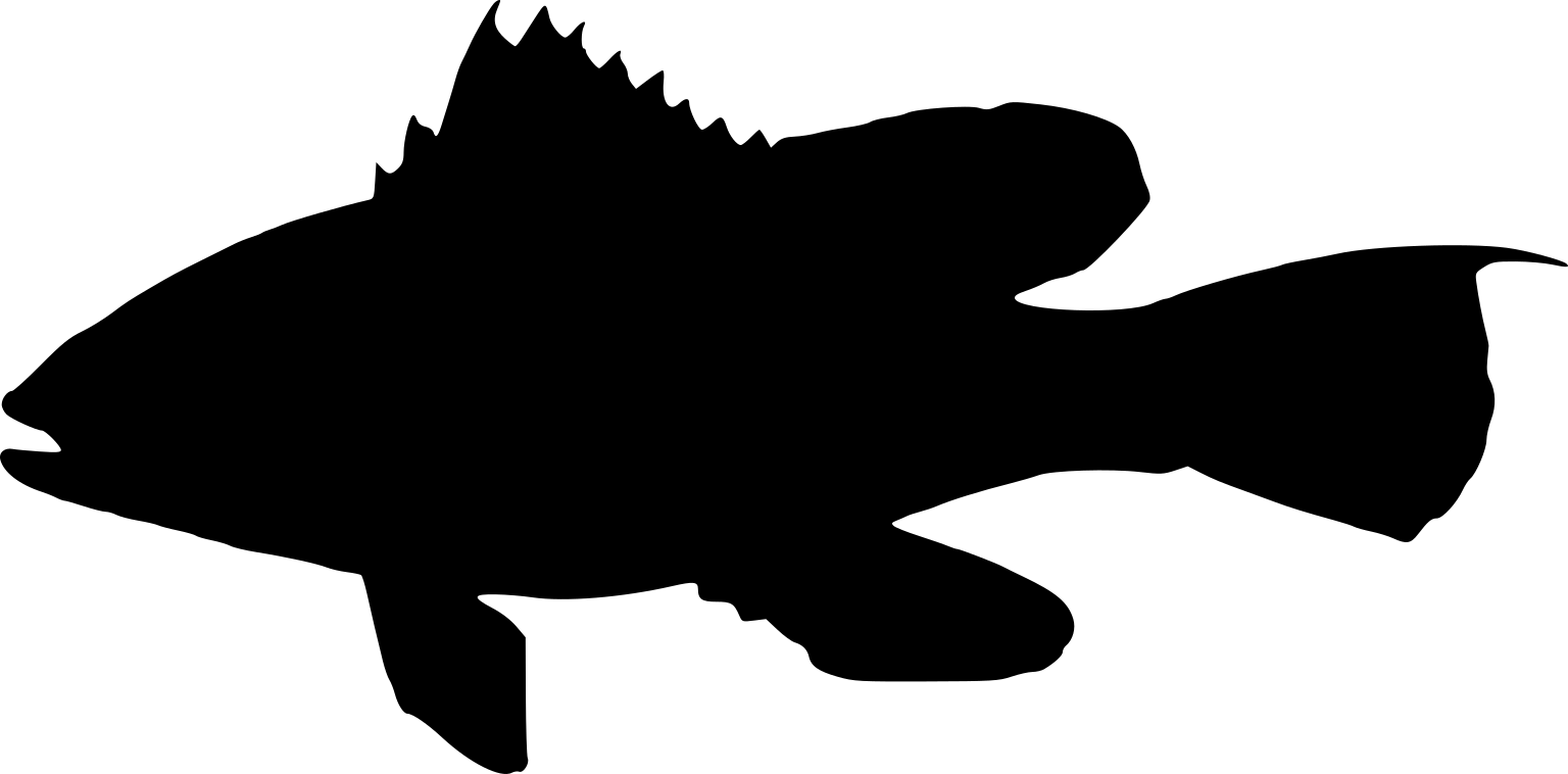 Centropristis striata