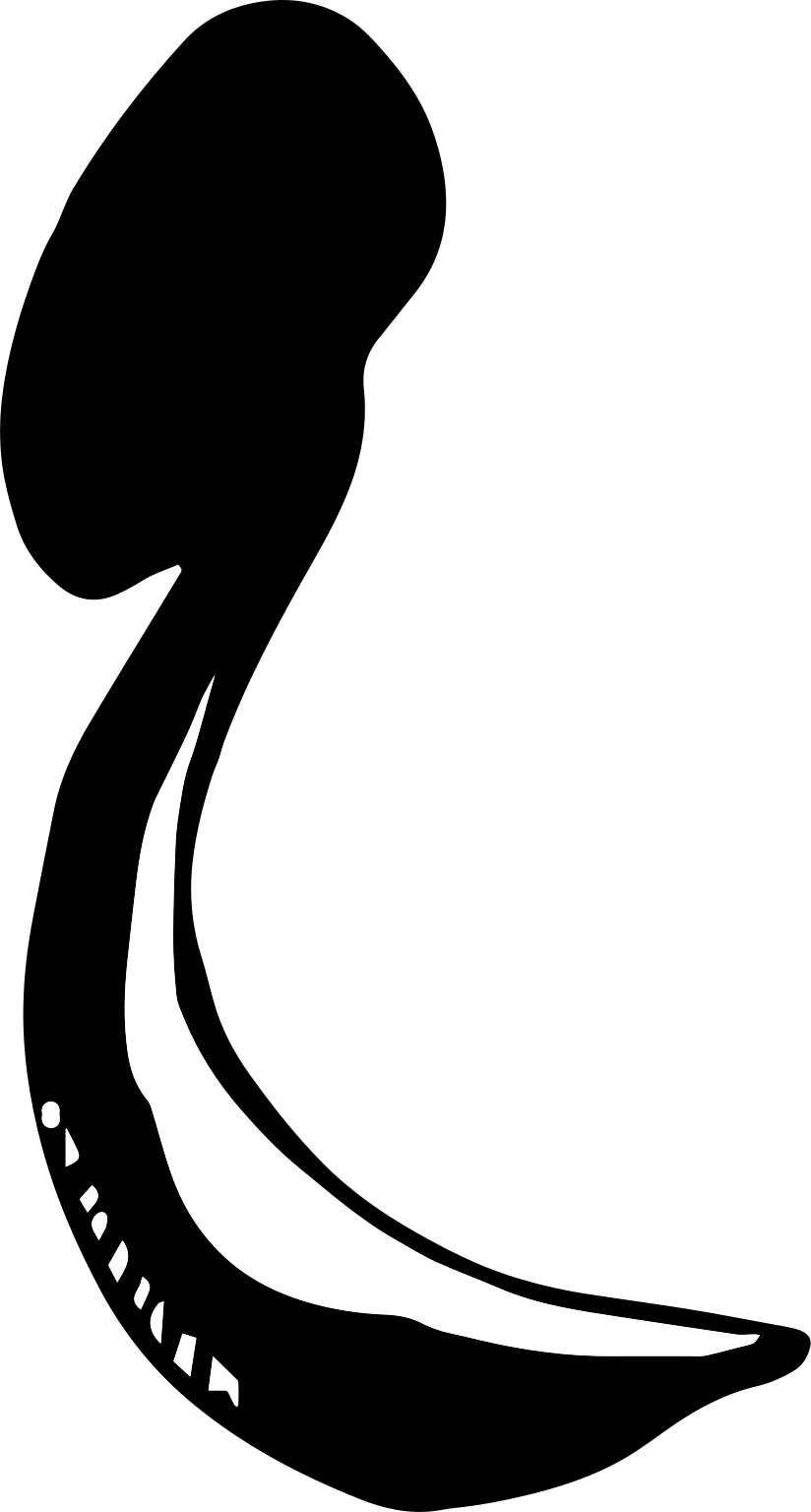 Larvacea