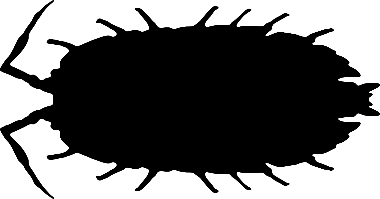 Holoverticata