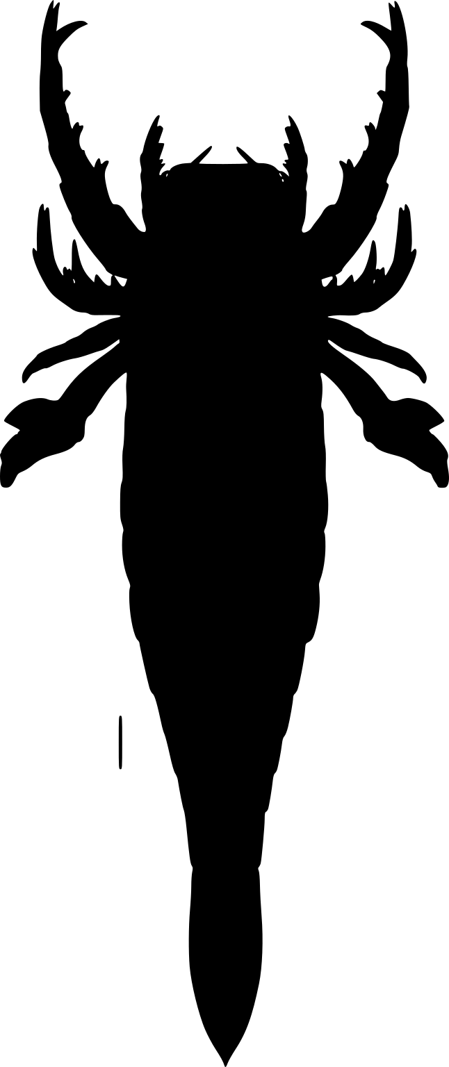Pentecopterus decorahensis