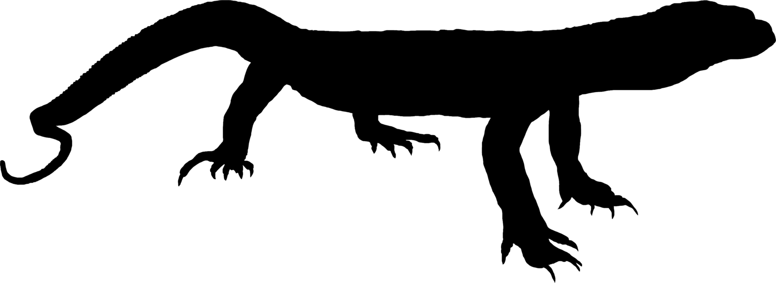 Varanus spenceri