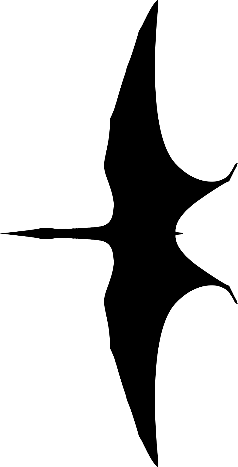 Europejara olcadesorum