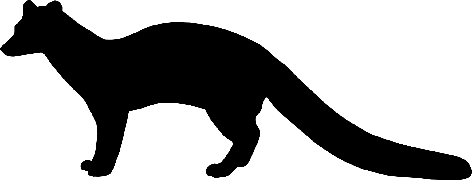 Genetta victoriae