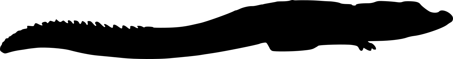 Melanosuchus niger