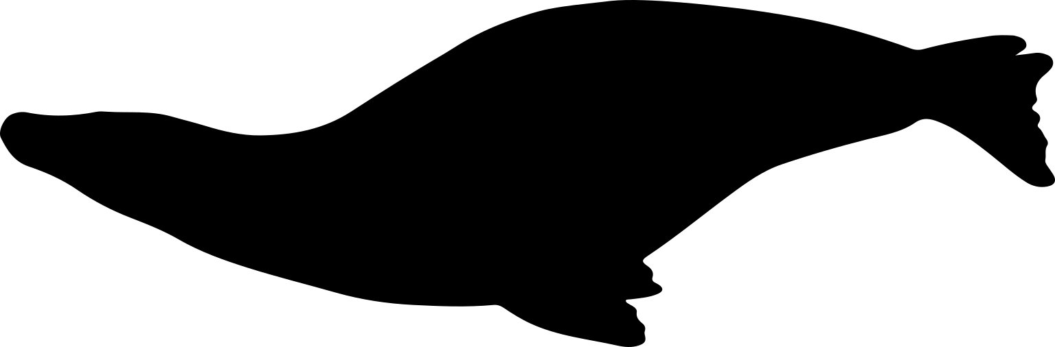 Acrophoca longirostris