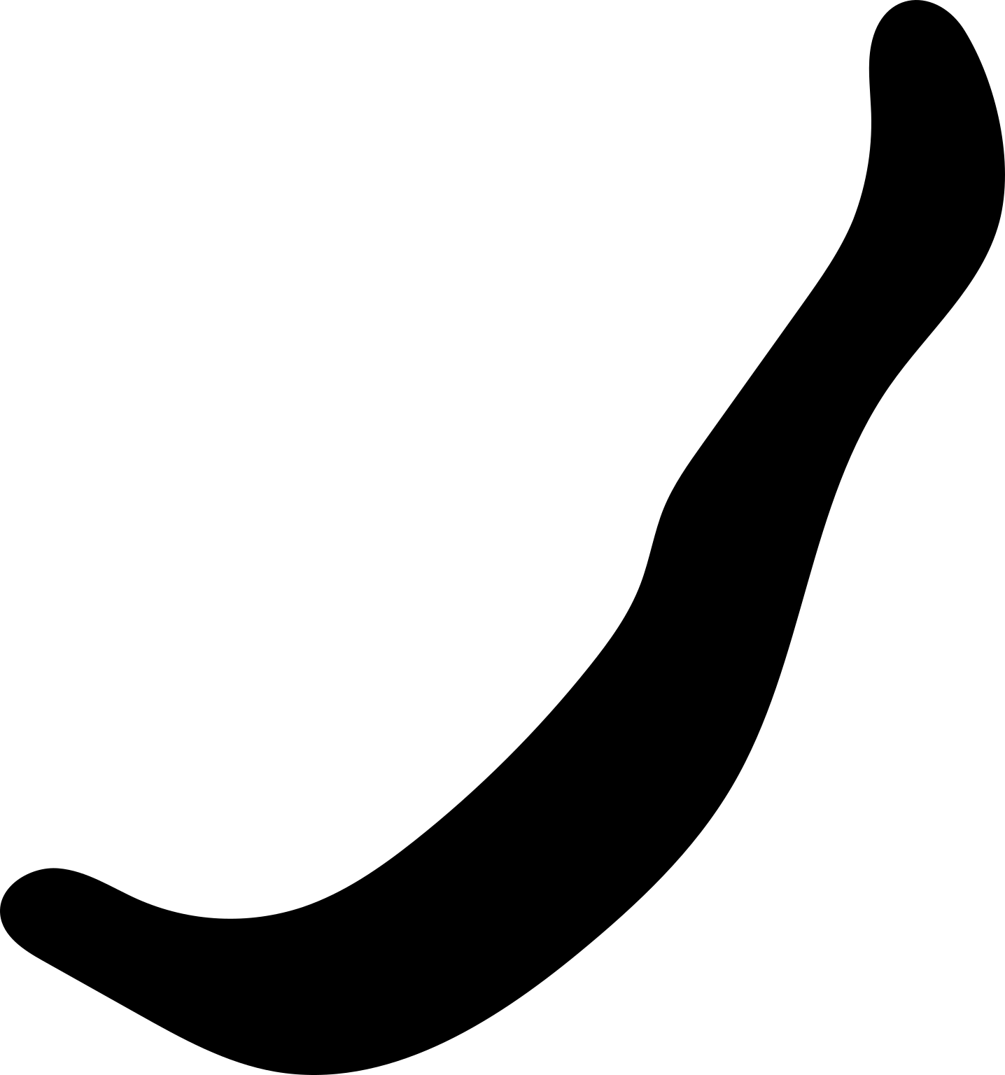 Urechis unicinctus