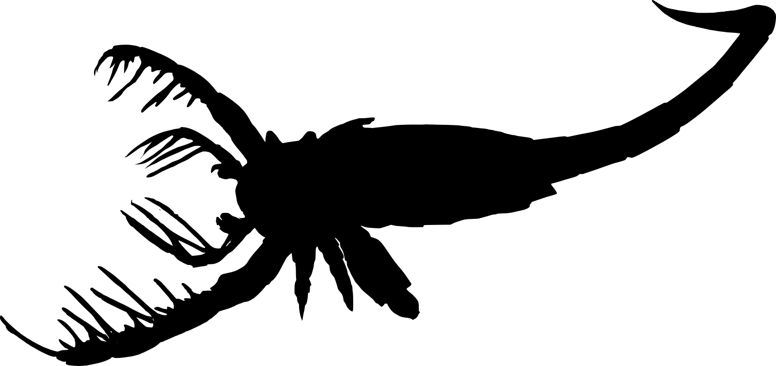 Mixopterus